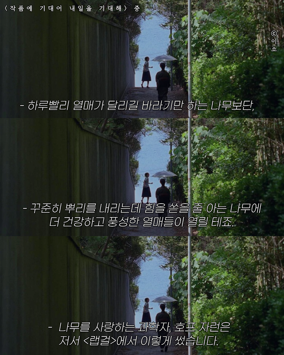 220511_작품에기대어_조금 괴로운 당신께 식물을 추천합니다_1080,1035_1.png