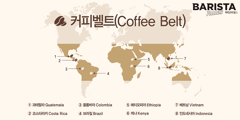 커피벨트.png