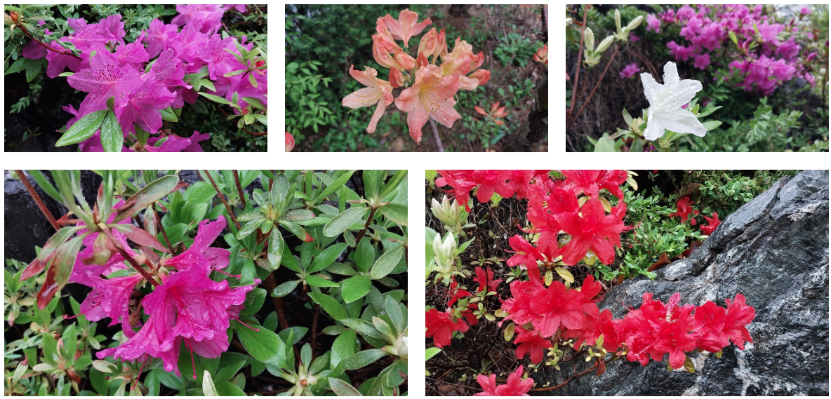 스크린샷 2024-04-20 151053.png