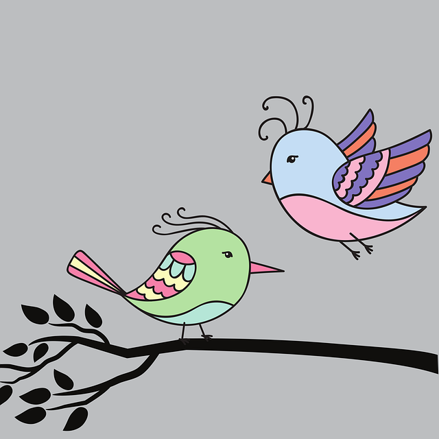 birds-7424013_640.png