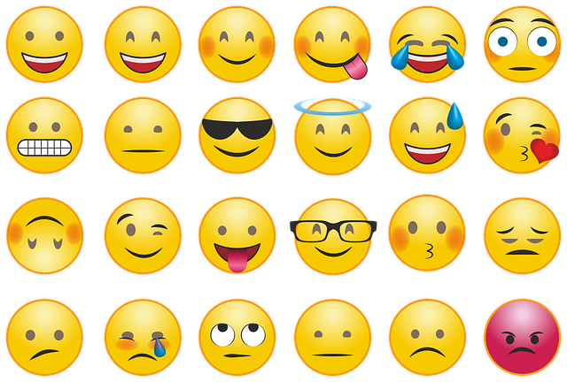 emoji-g3ec8c5da8_640.png