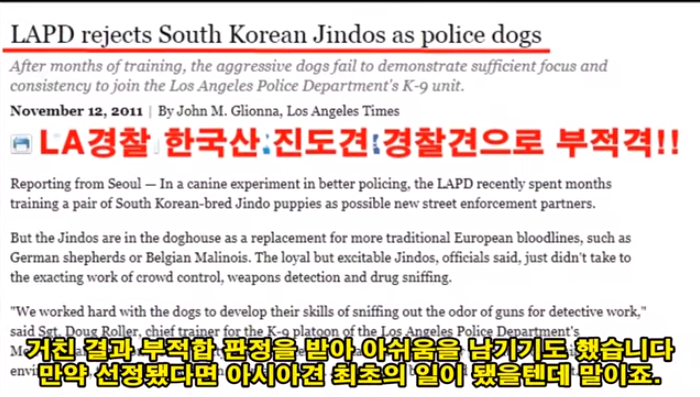 글로벌이슈반응 진돗개.png