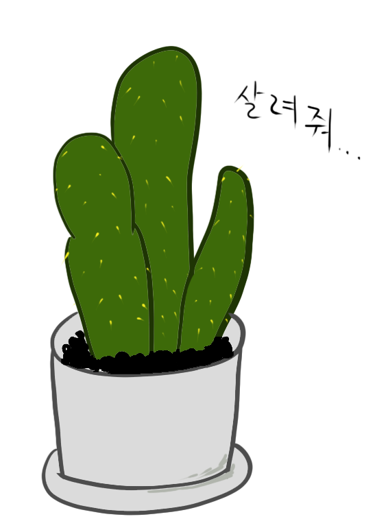 선인장.png