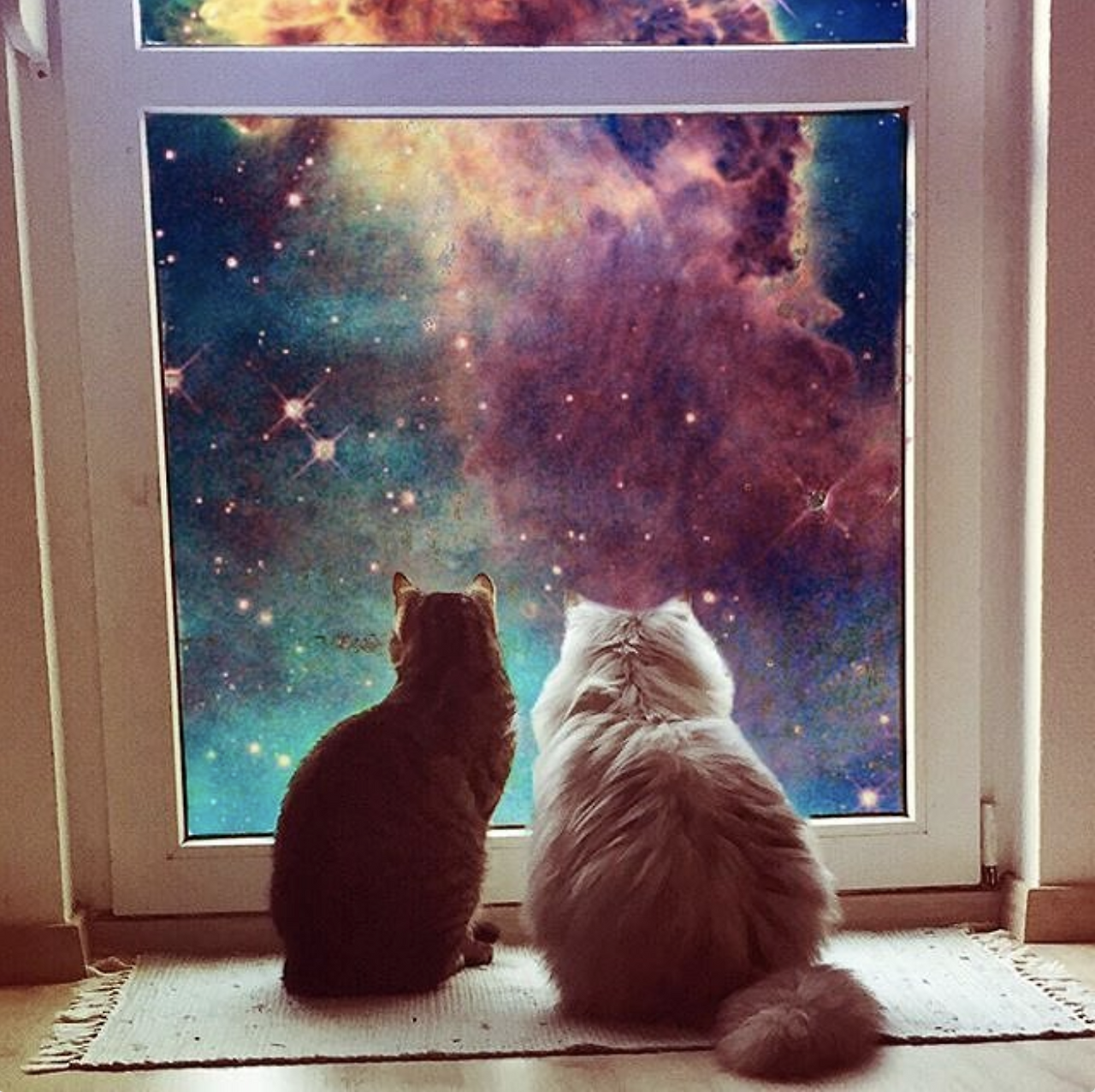 스크린샷 2018-01-23 오후 1.21.31.png