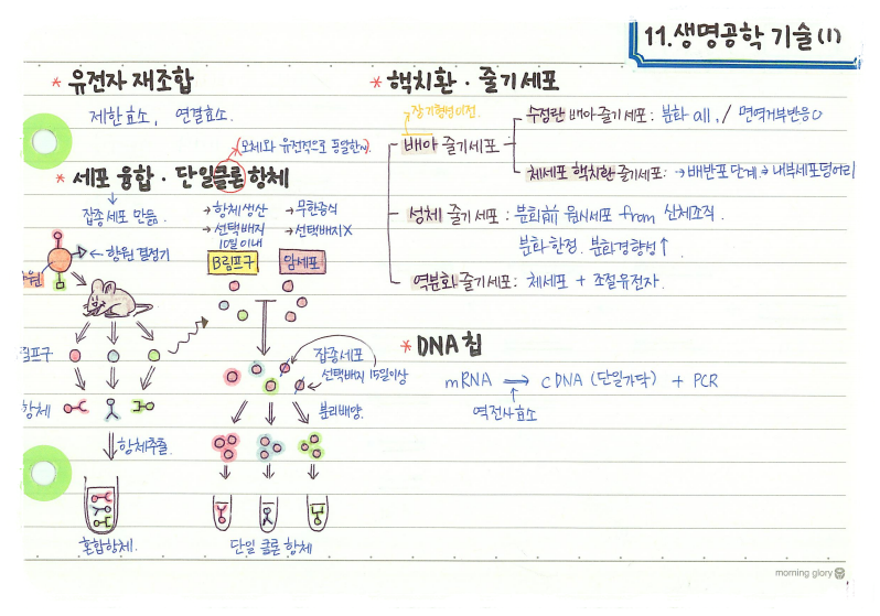 생명과학 10.png