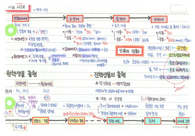 생명과학 11-1.png