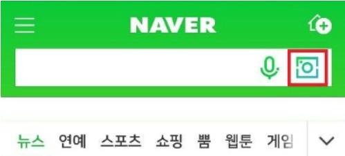 네이버이미지검색.png