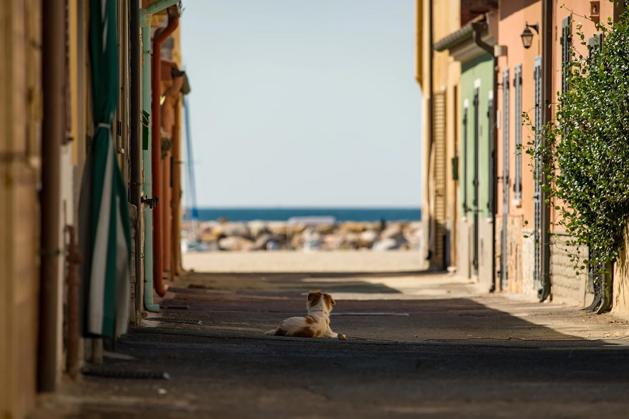 힐링의 거리.png