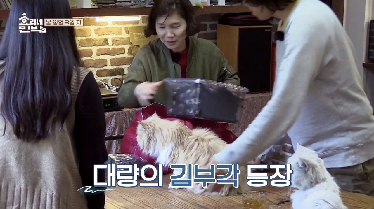 Region capture 18.png