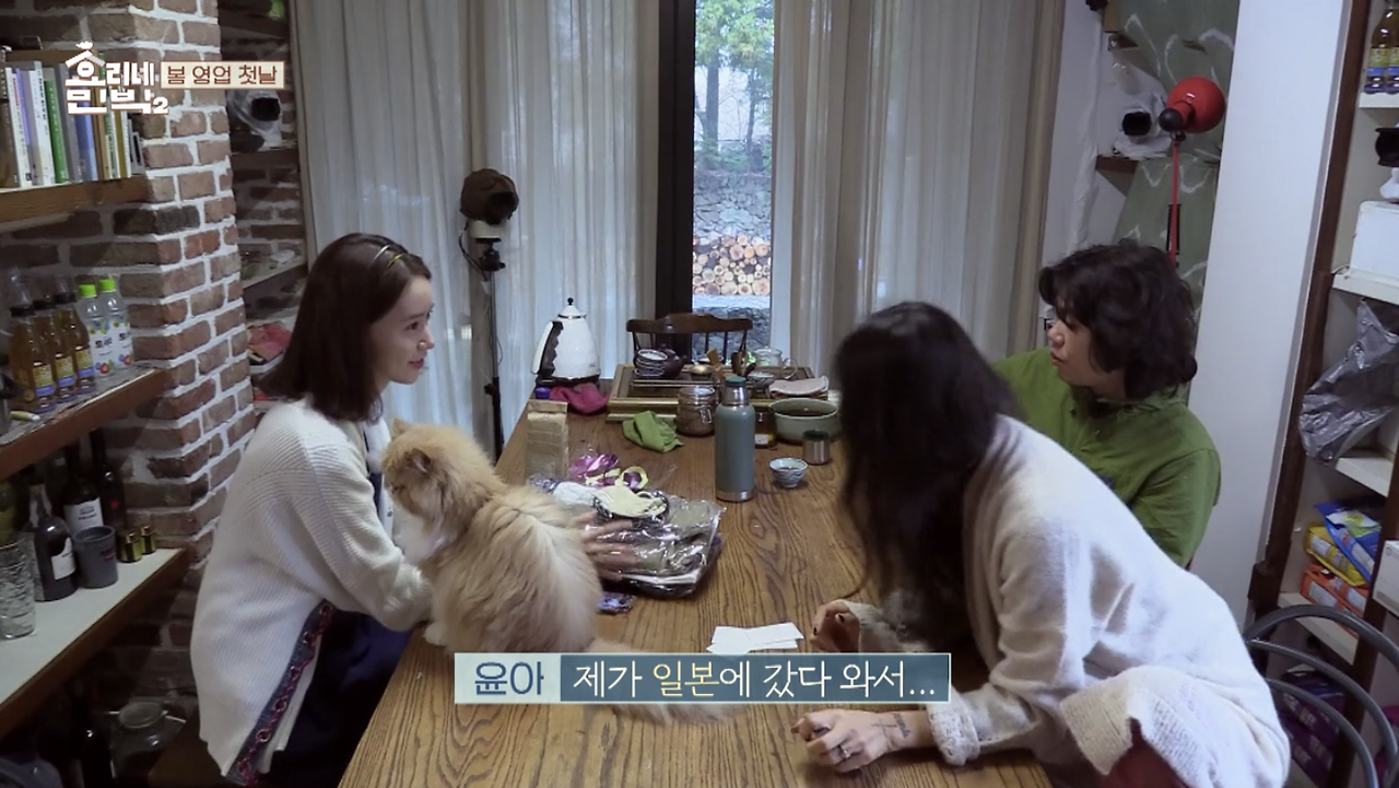 Region capture 12.png