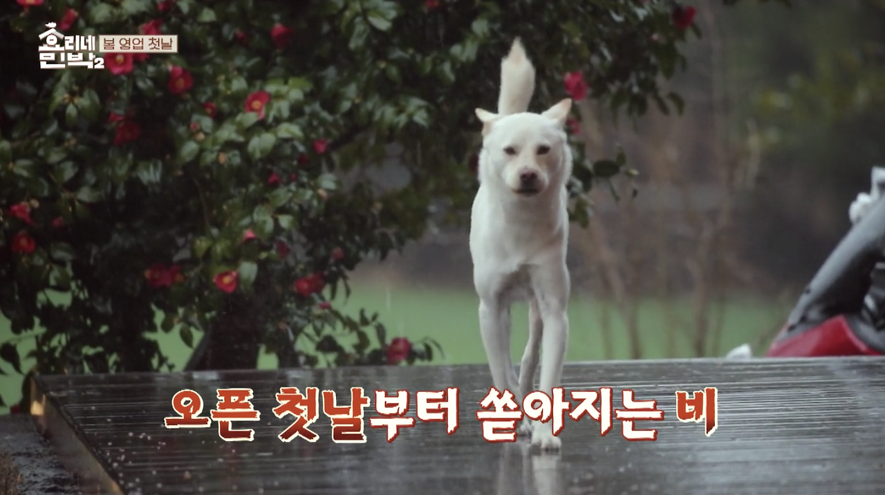 Region capture 6.png