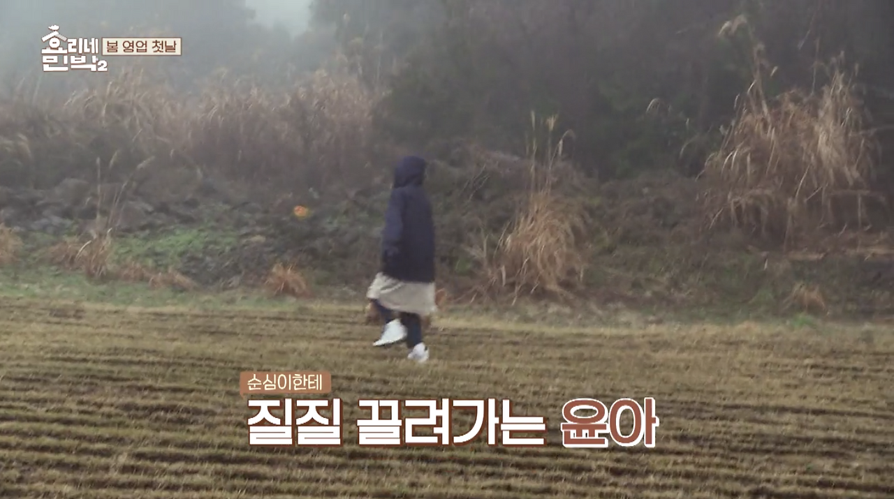 Region capture 28.png