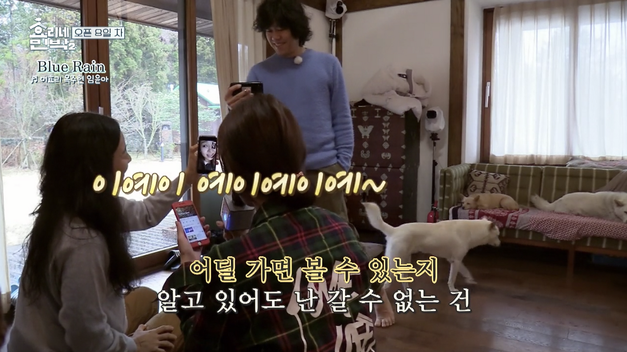 Region capture 18.png