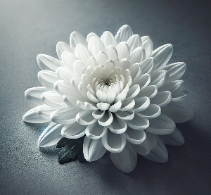 스크린샷 2024-12-29 오후 6.59.53.png