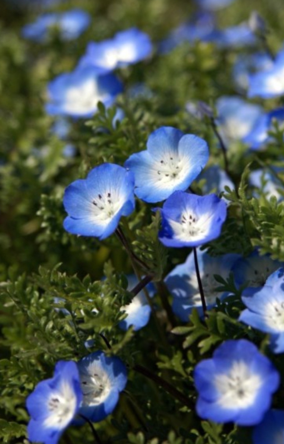 화면 캡처 2023-02-26 192446.png