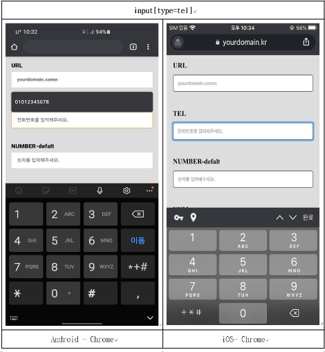 input_type_tel.png