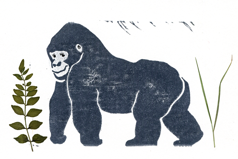 고릴라 하람베.png
