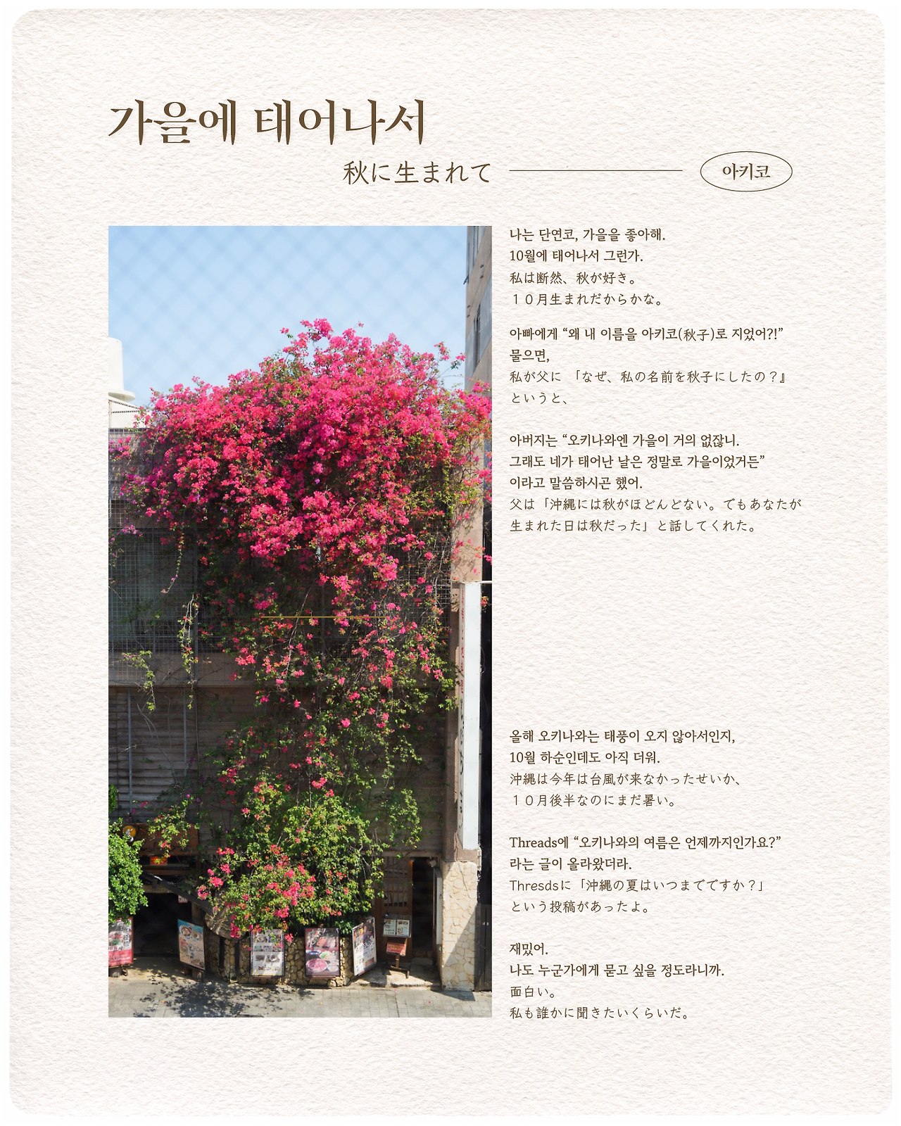 가을에 태어나서.png