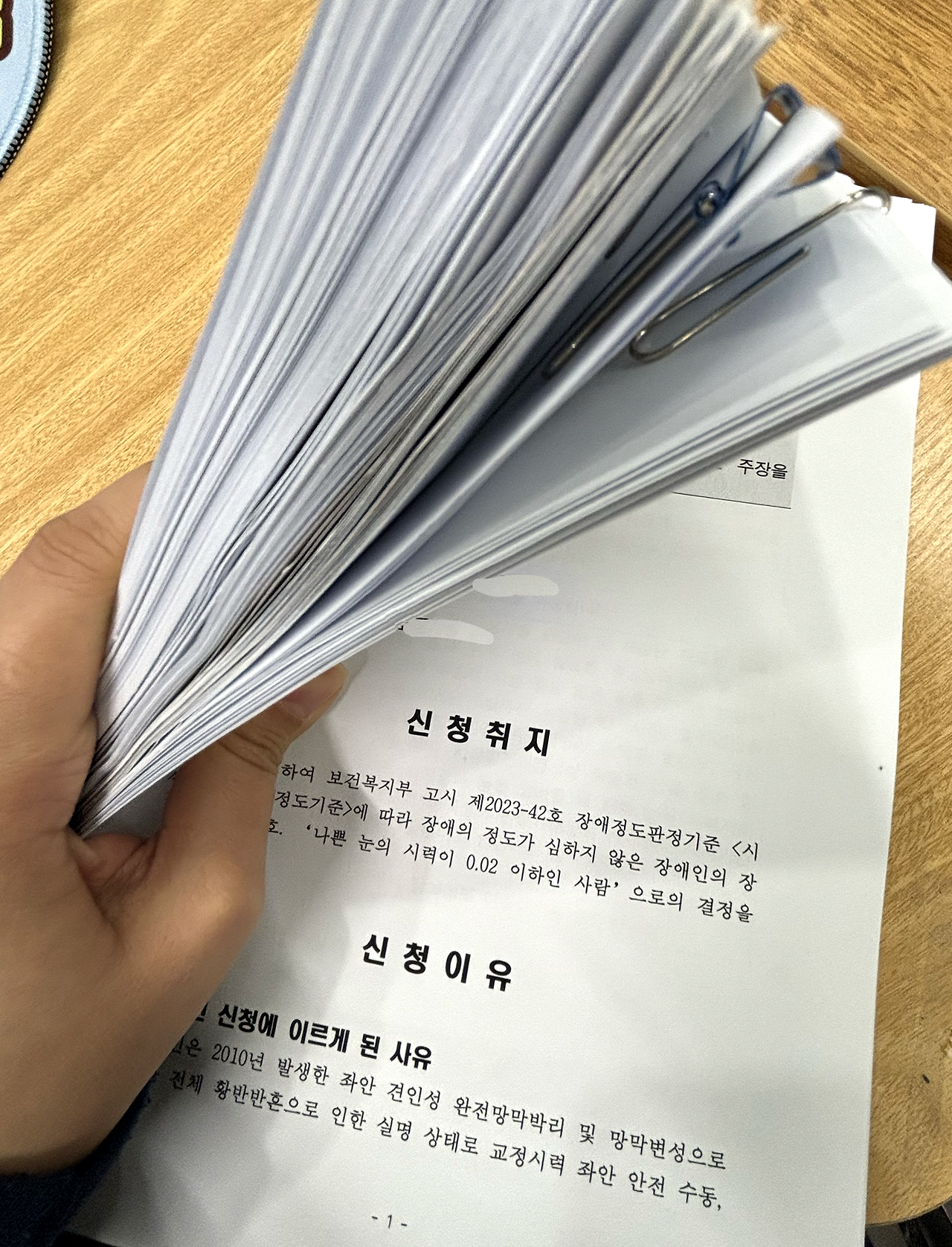 시각장애, 장애인, 망막박리.png