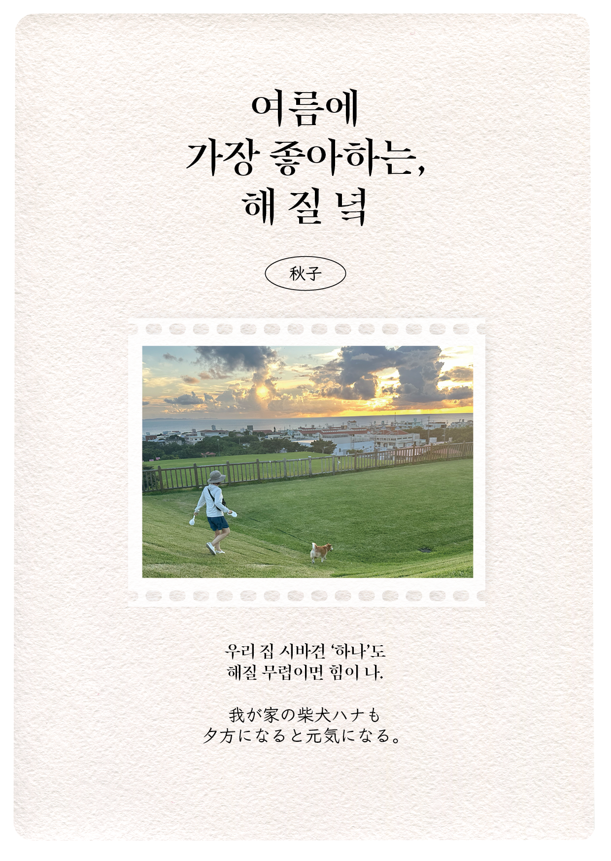 아키코 오키나와 산책 강아지.png