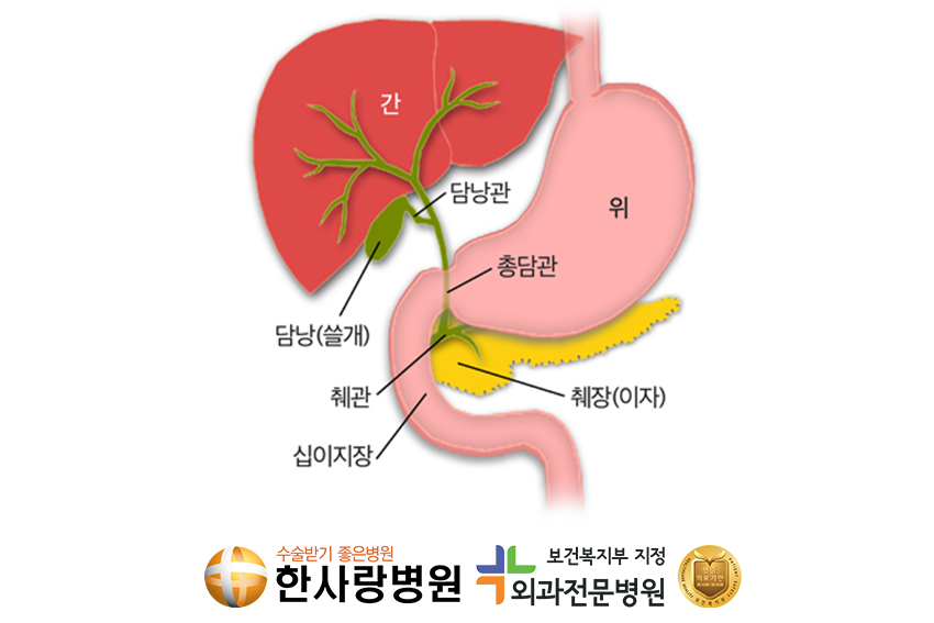쓸개용정 (1).png