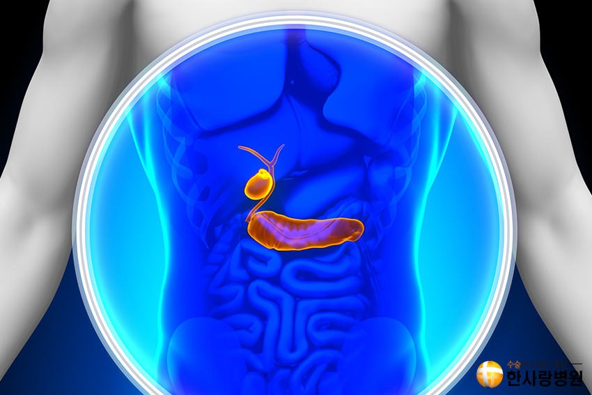 담낭염증상 이미지 (4).png