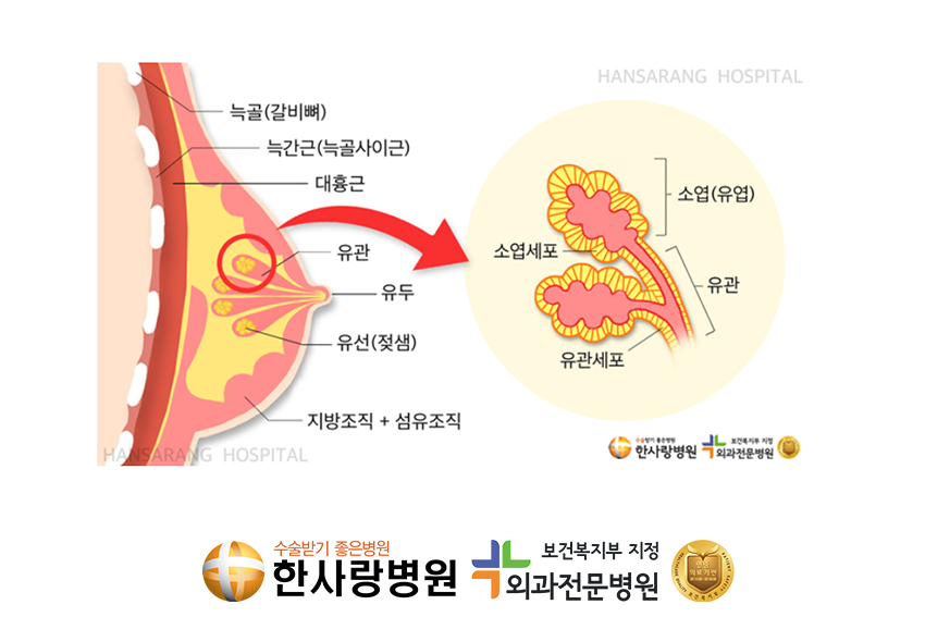 부유방 (2).png