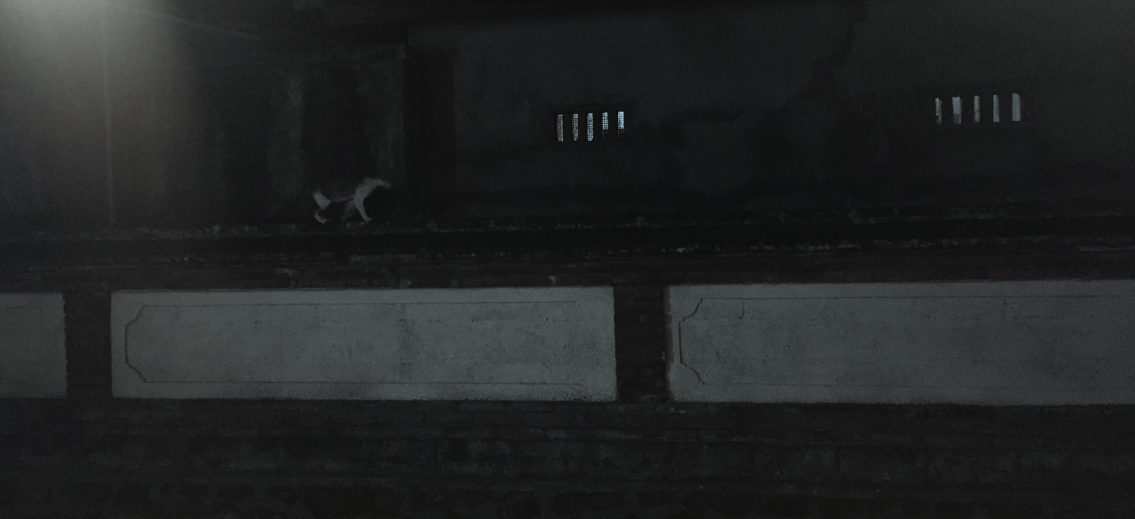 Screen Shot 2018-09-03 at 12.04.01 AM.png