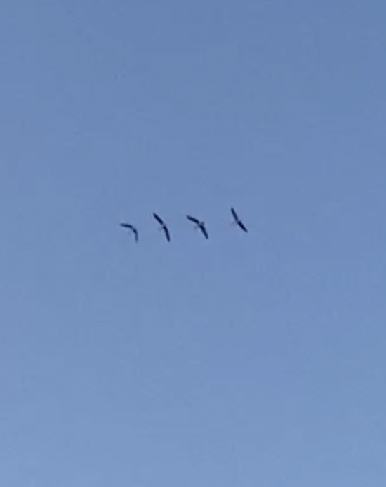 스크린샷 2023-03-03 오후 9.29.34.png