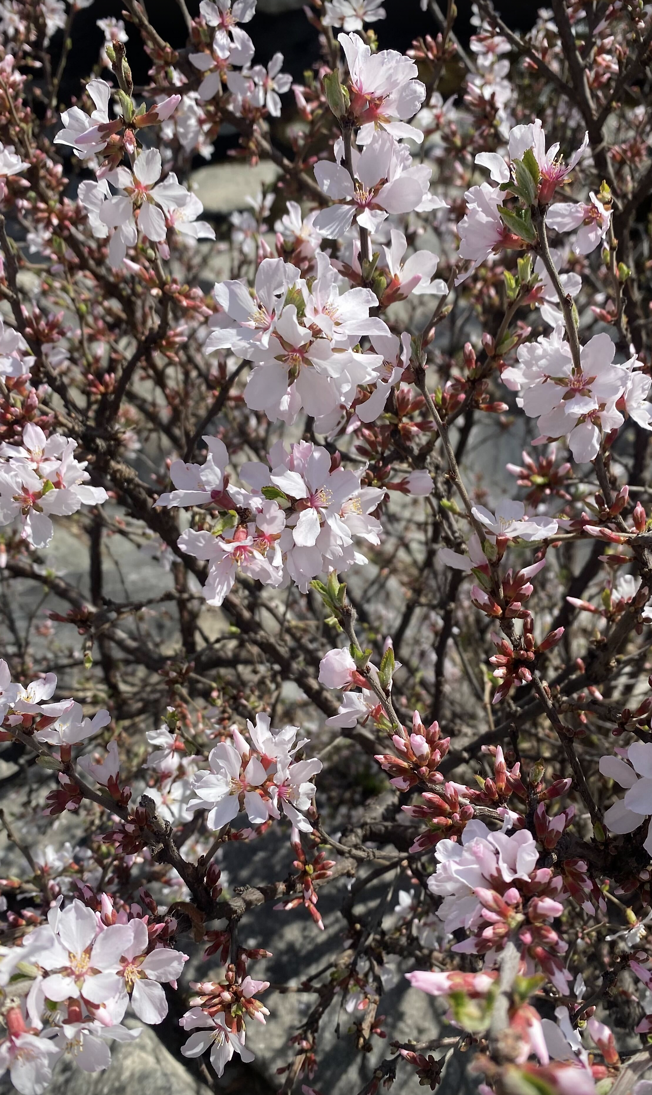 스크린샷 2023-03-30 오후 2.30.07.png