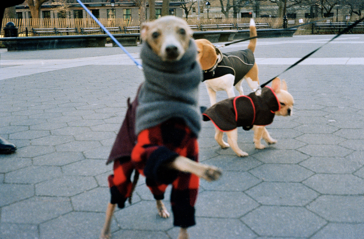 스크린샷 2024-11-27 오전 9.33.00.png