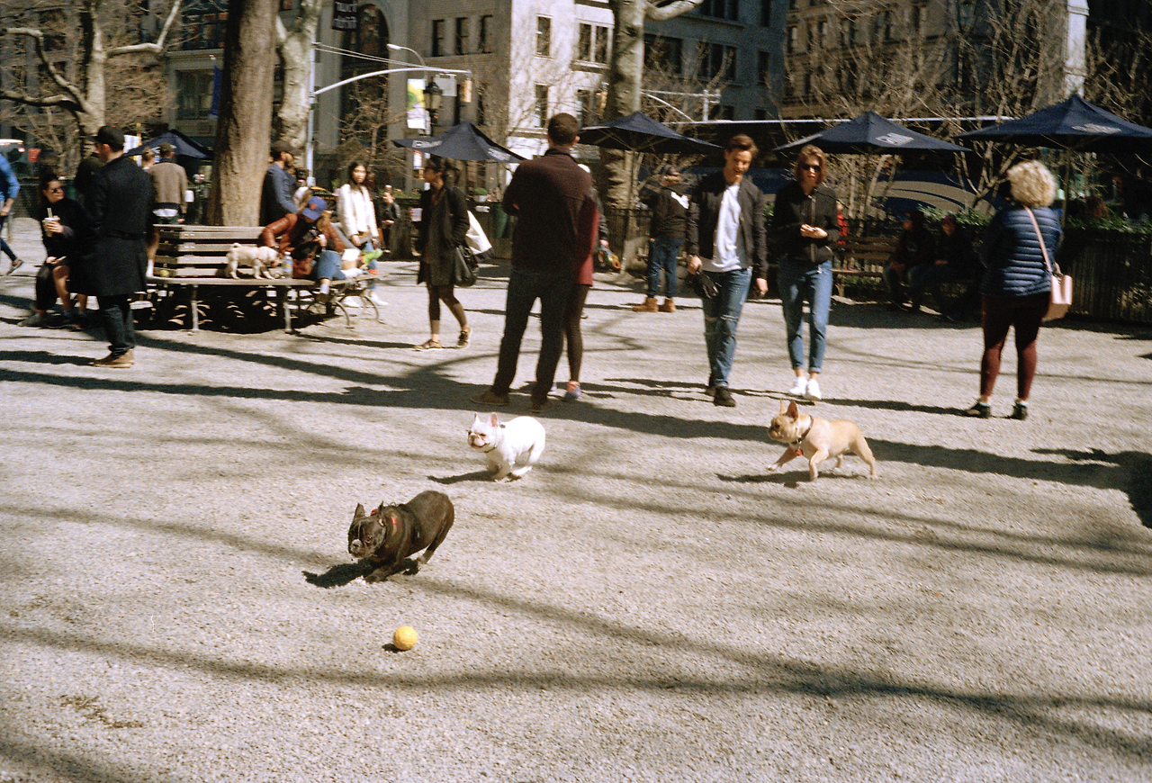 스크린샷 2024-12-09 오전 9.20.31.png