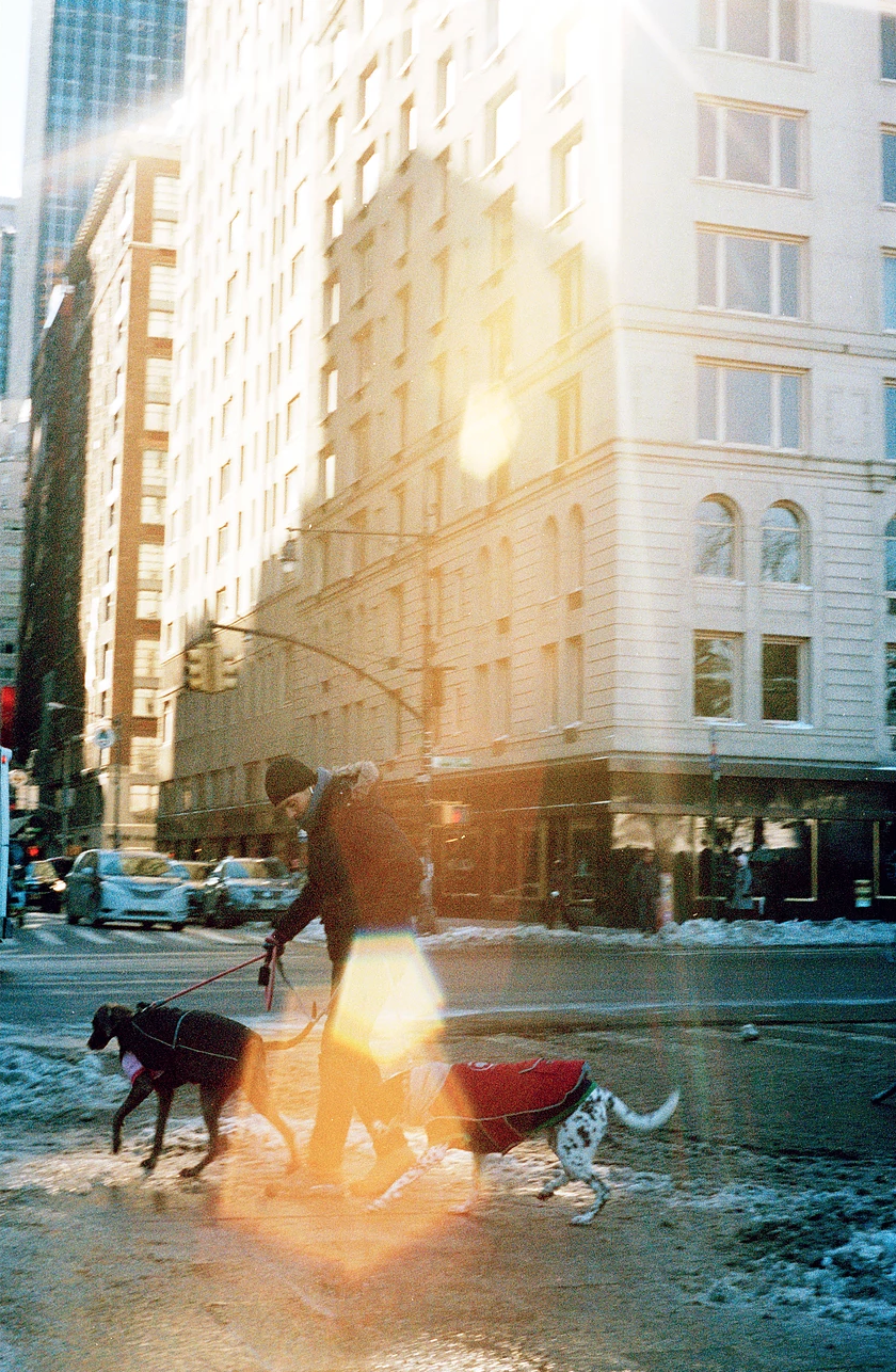 Screen Shot 2021-12-06 at 12.09.24 PM.png