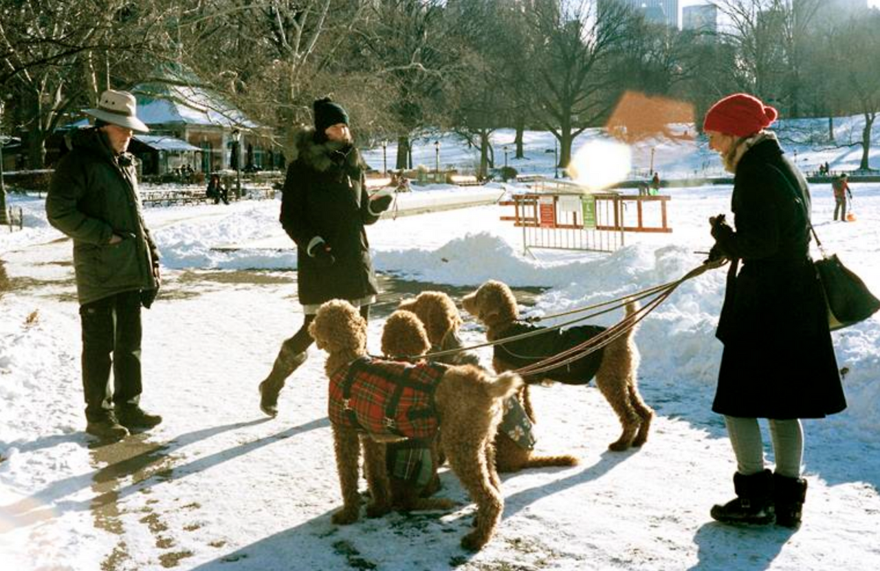 Screen Shot 2018-06-10 at 7.49.16 AM.png