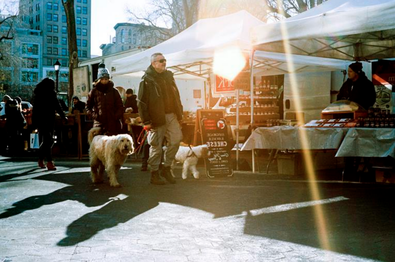 Screen Shot 2018-06-10 at 7.49.25 AM.png