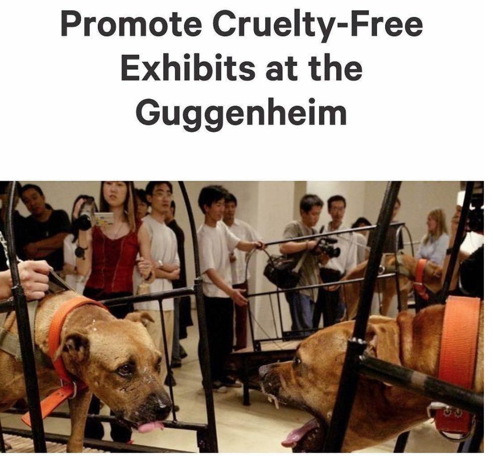 Screen Shot 2017-10-21 at 10.04.44 AM.png