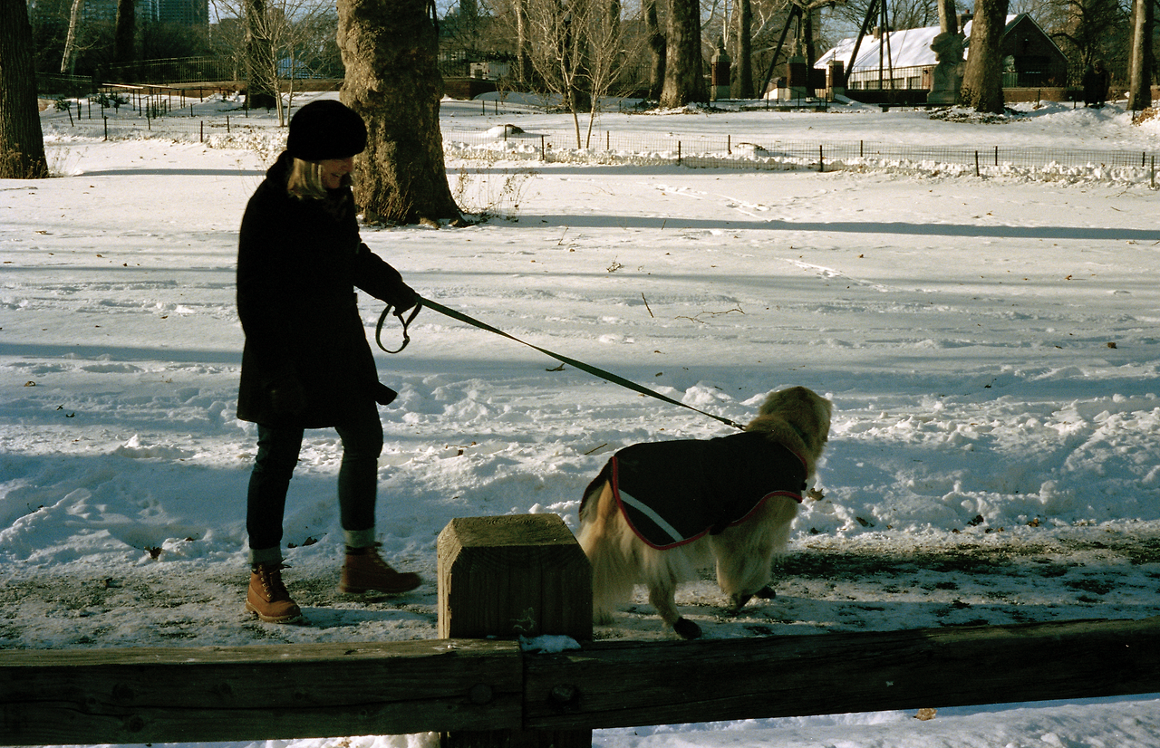 스크린샷 2024-11-27 오전 9.24.57.png