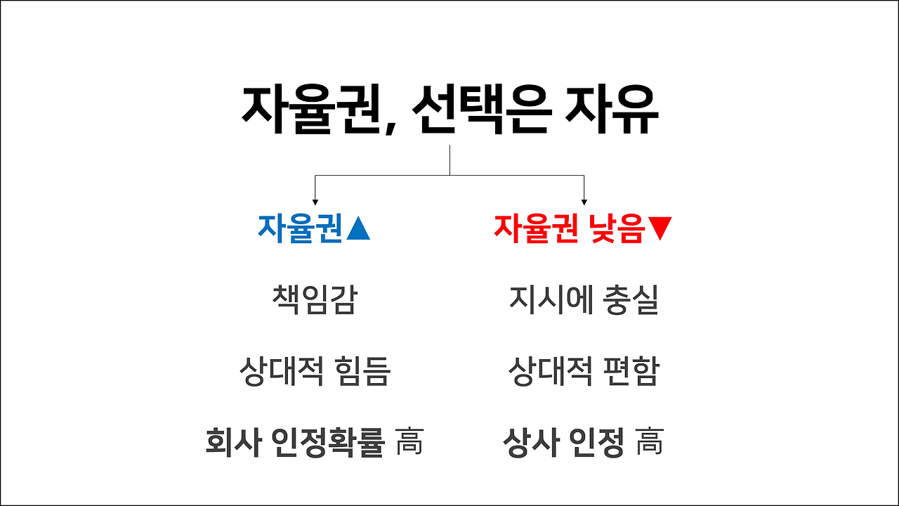 자율권.png
