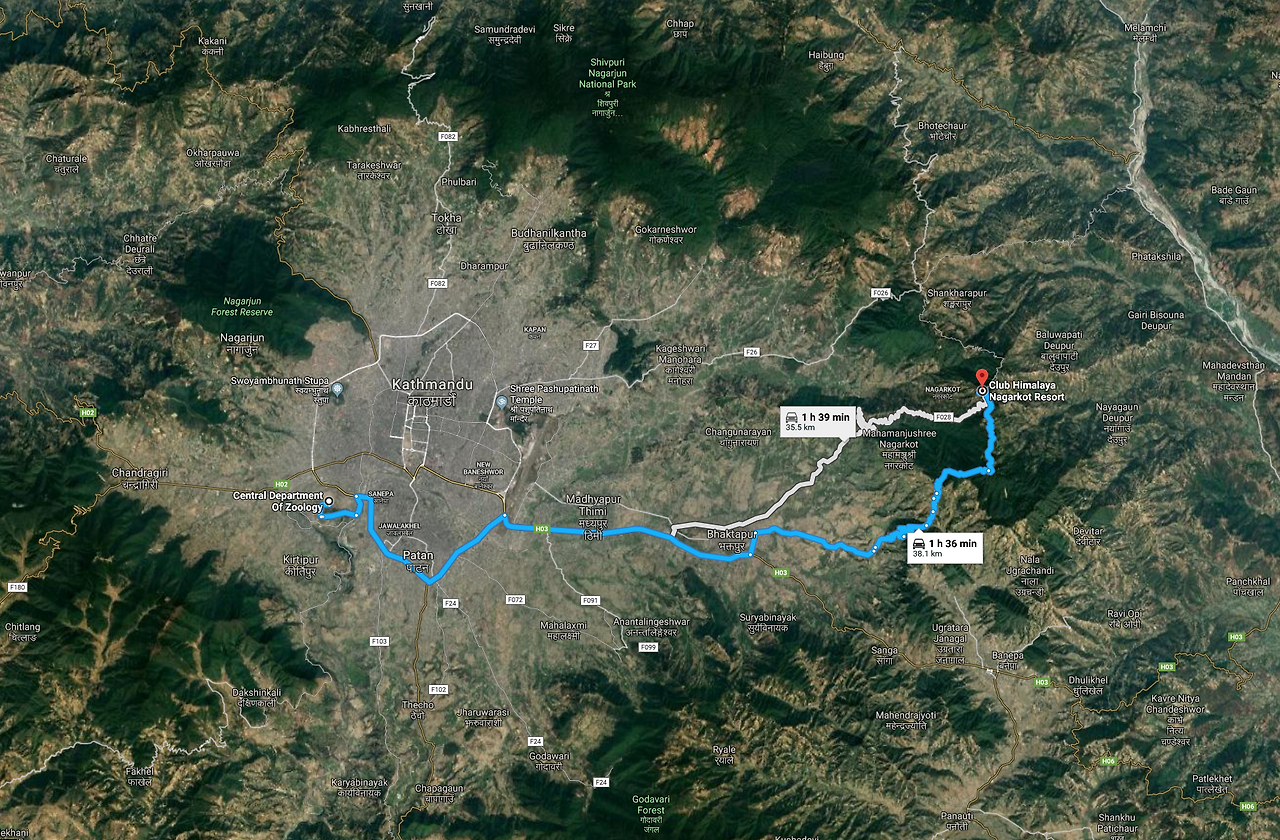 Screen Shot 2018-09-12 at 7.38.51 PM.png