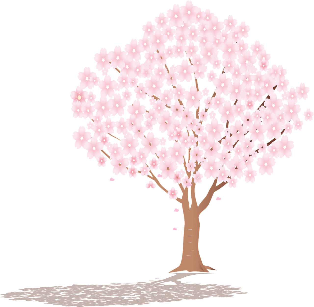 sakura-tree-4900857_1280.png
