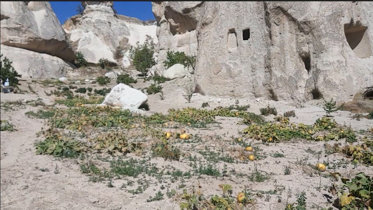 사막의 달 여행자-전체 사진-37986616096.png