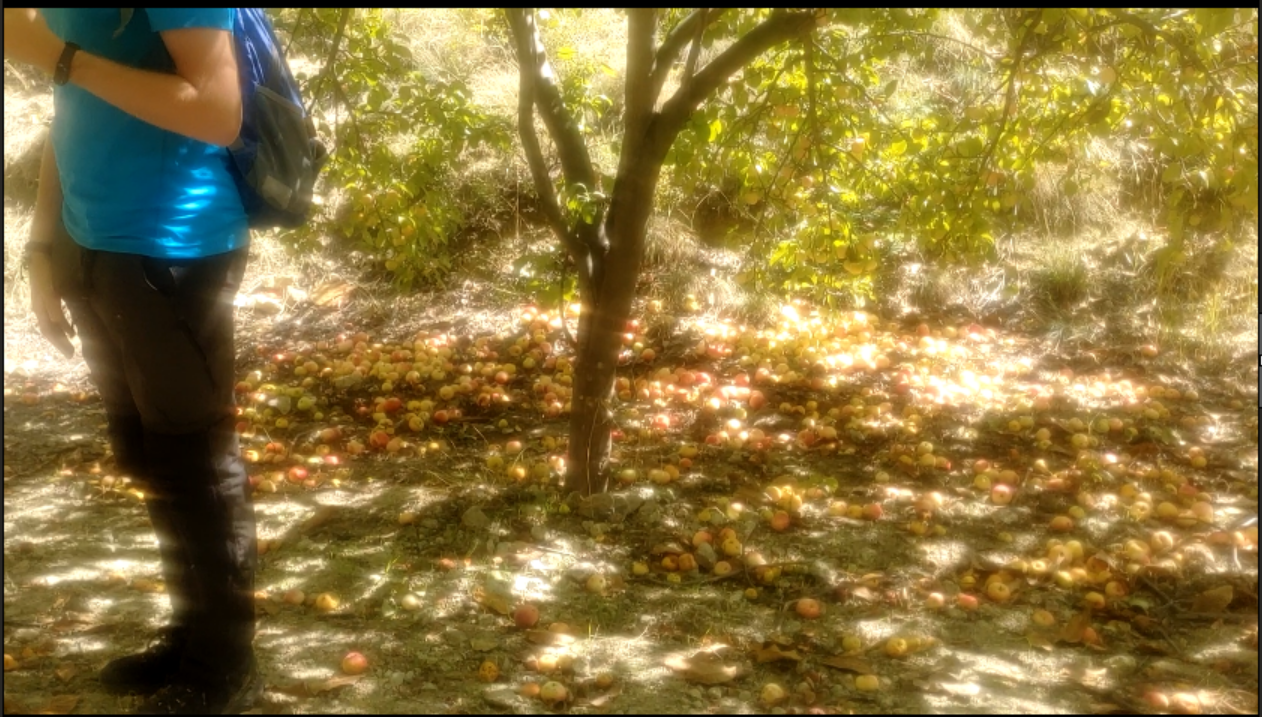 사막의 달 여행자-전체 사진-37986658638.png