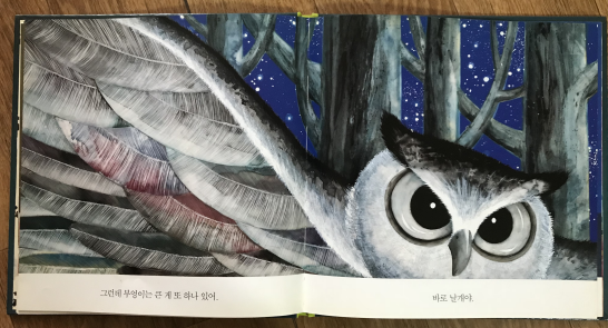 우리집 고양이 봄이.png