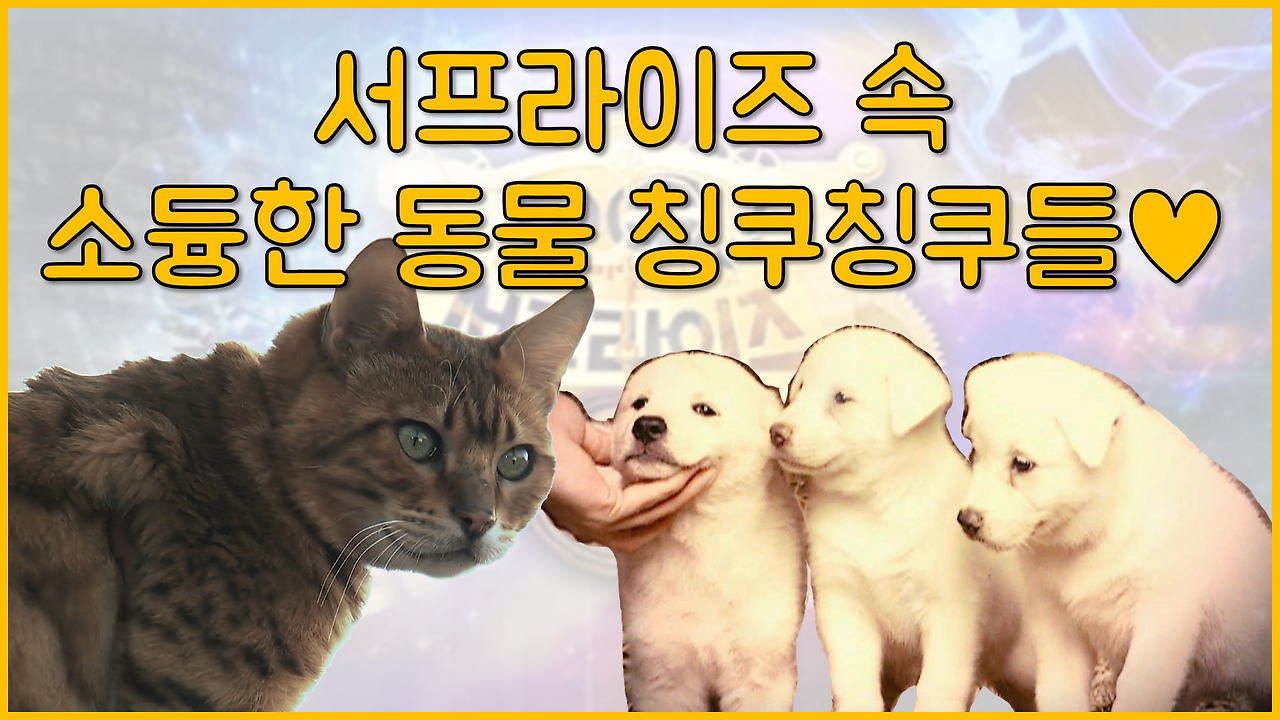 5월 테마 과제 - 서프라이즈 썸넬(까마귀 해고).png