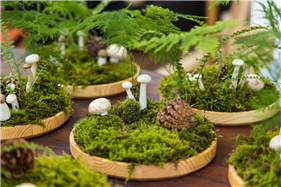 버섯 세가지맛.png