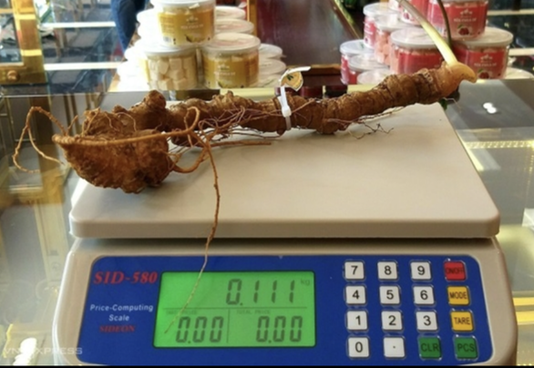 베트남 산삼.png