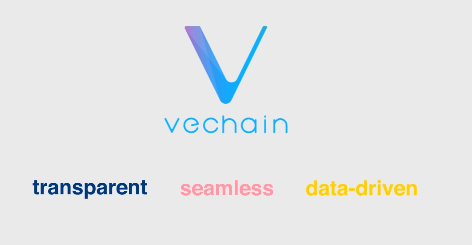 vechain character.png