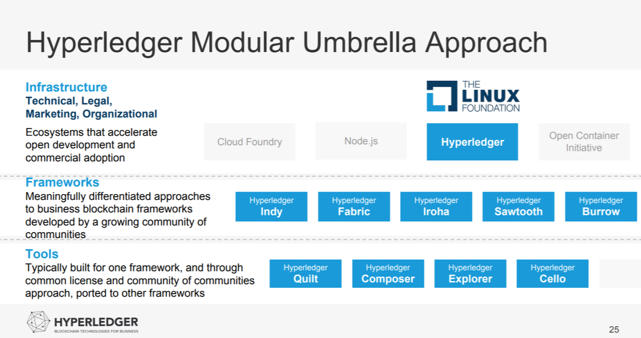 hyper ledger pdf umbrella.png