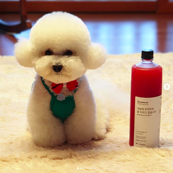 screen 2019-09-17 오후 3.46.13.png