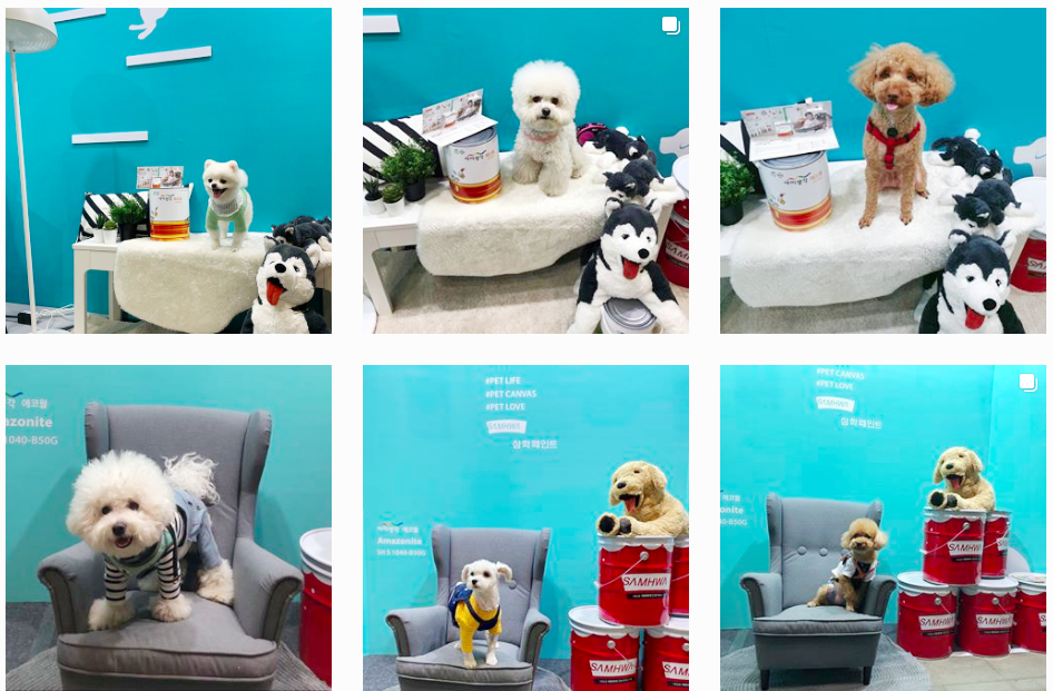 screen 2020-01-21 오전 11.00.54.png